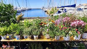 Cap d'Agde - Avant-Ports - 2 Juin 2024 - 22